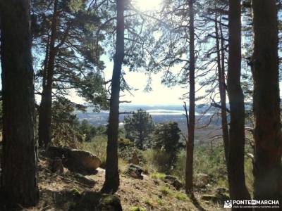 Roble de los 17 hermanos y Chorrera de Eriales; madrid sierra pueblos sierra madrid rutas hoces del 